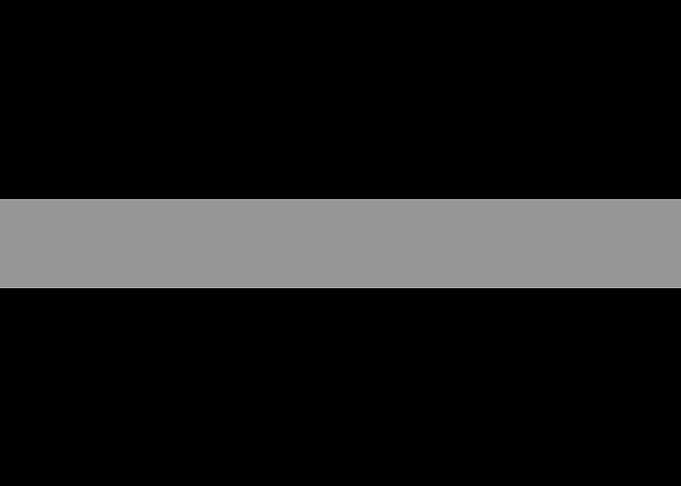 thin silver line flag