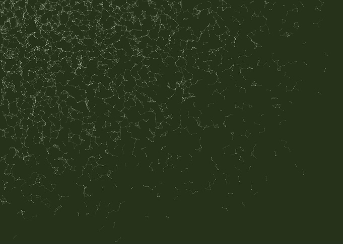 Network Mesh