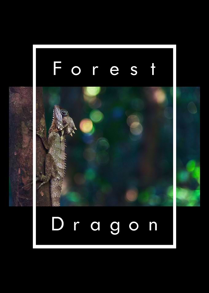Boyds Forest Dragon Keeper