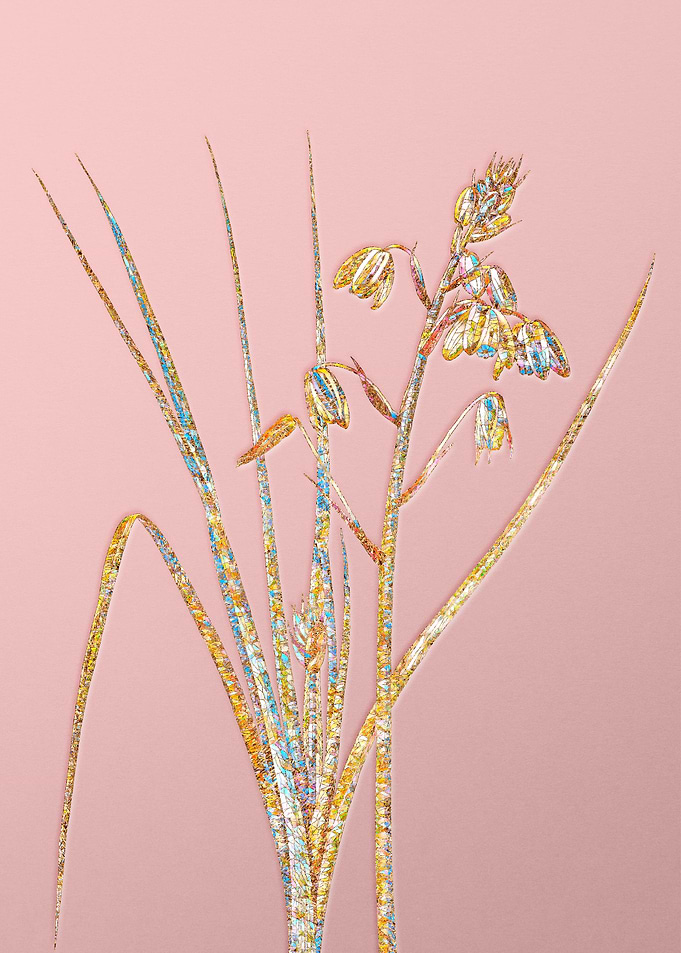 Pink Rainbow Mosaic Flower