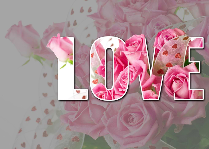 Love Roses