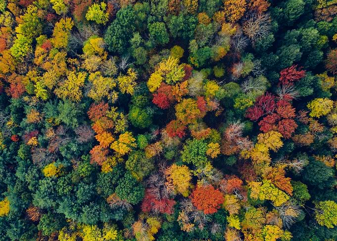 Catskill Mountains