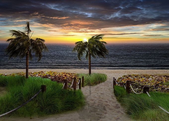 landscape beach paradise