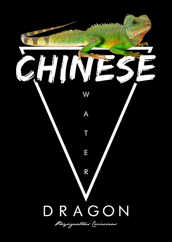Chinese Water Dragon Owner