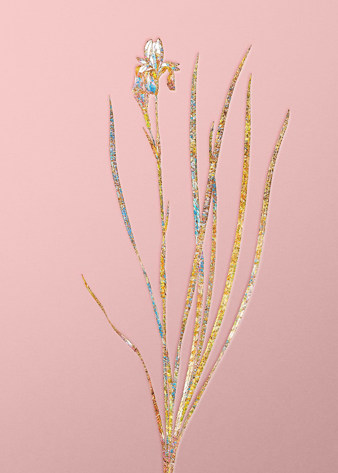 Pink Rainbow Mosaic Flower