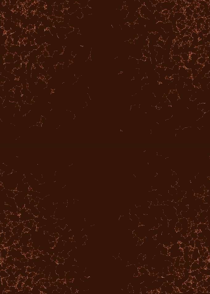 Network Mesh