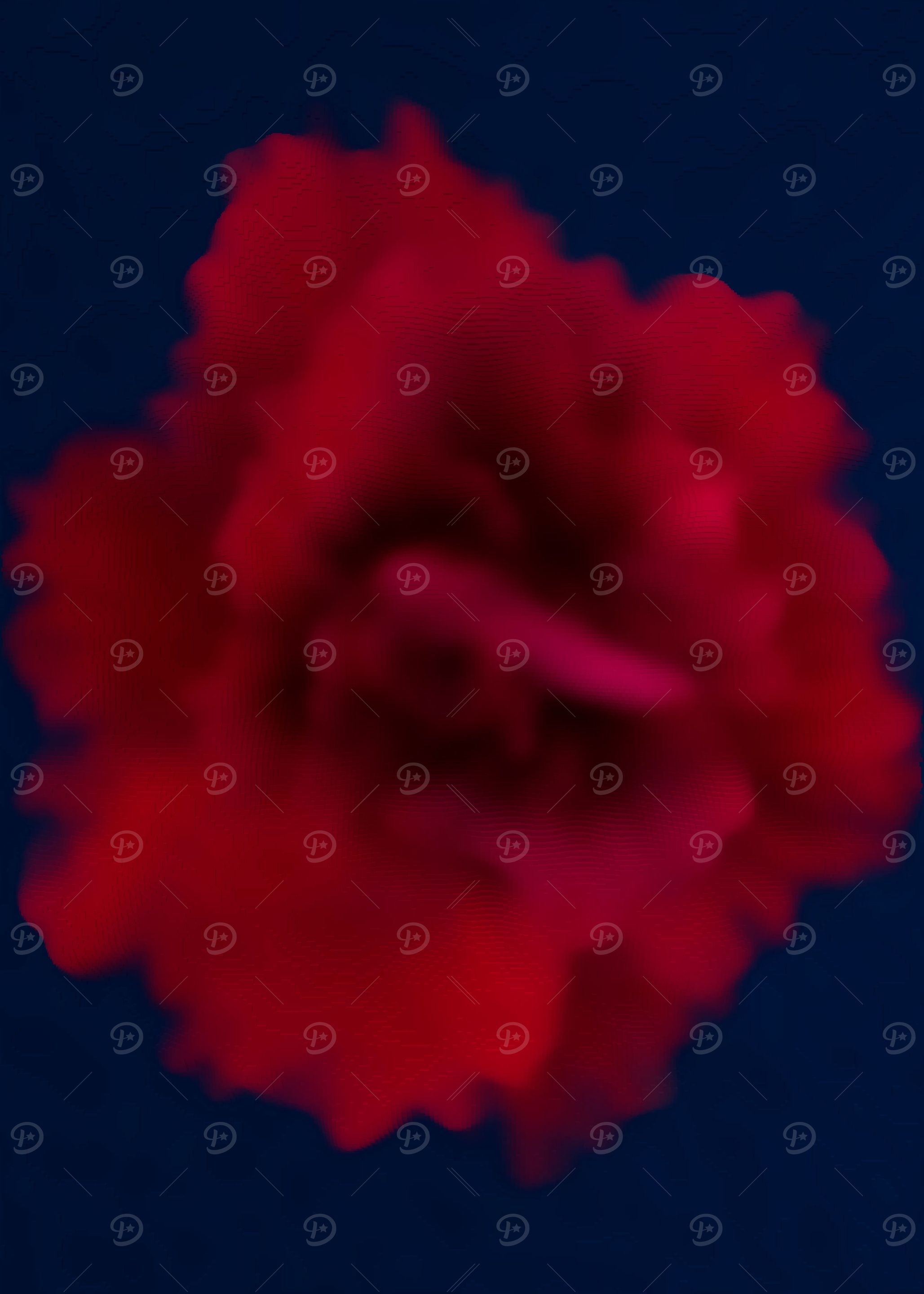 Red rose