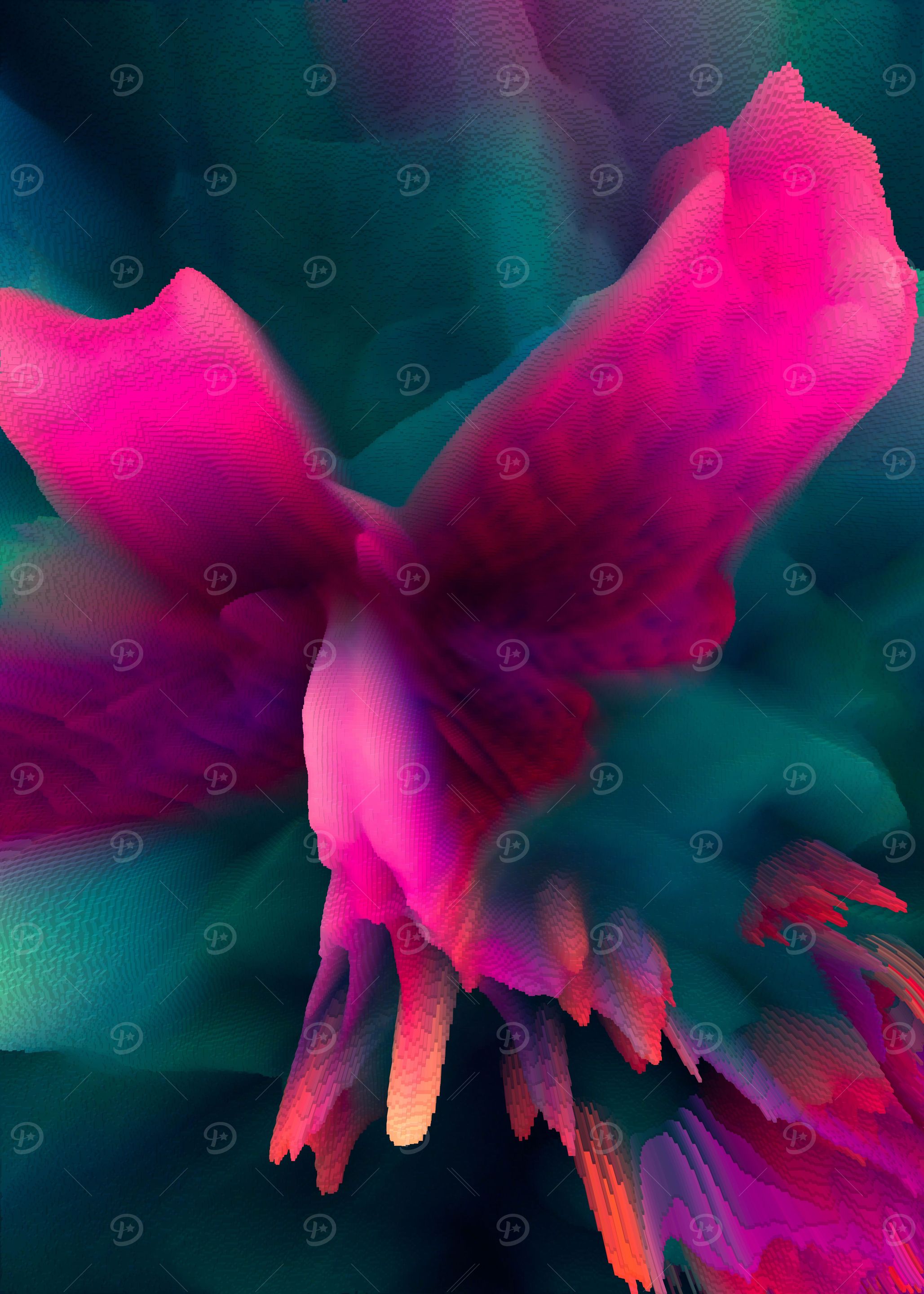 Pink lily