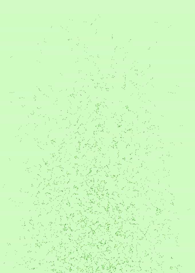 Network Mesh