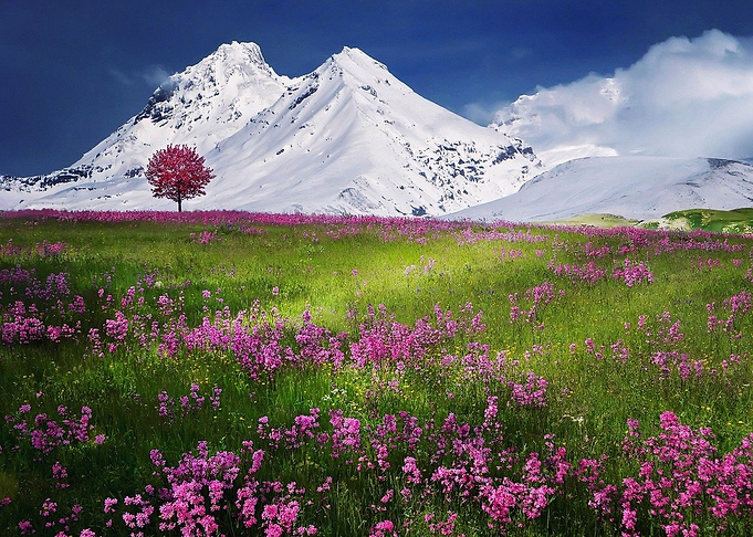 landscape spring mountain