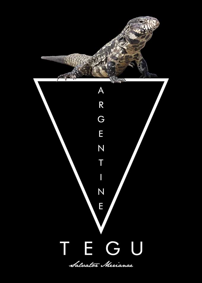 Black And White Tegu Owner