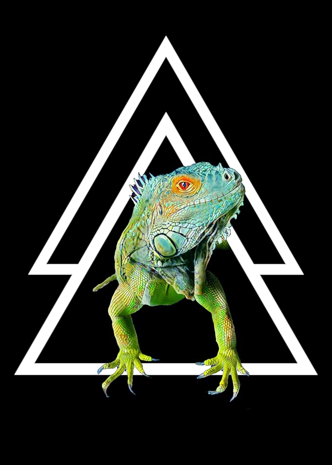 Green Iguana Geometric
