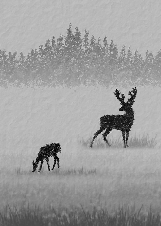 Fallow deer