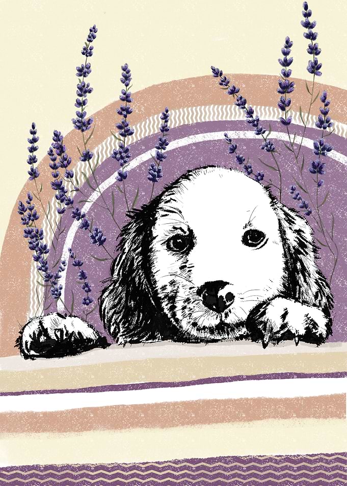 Puppy in lavander