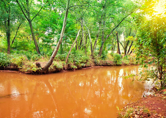 Autumn Brook City Clay Cur