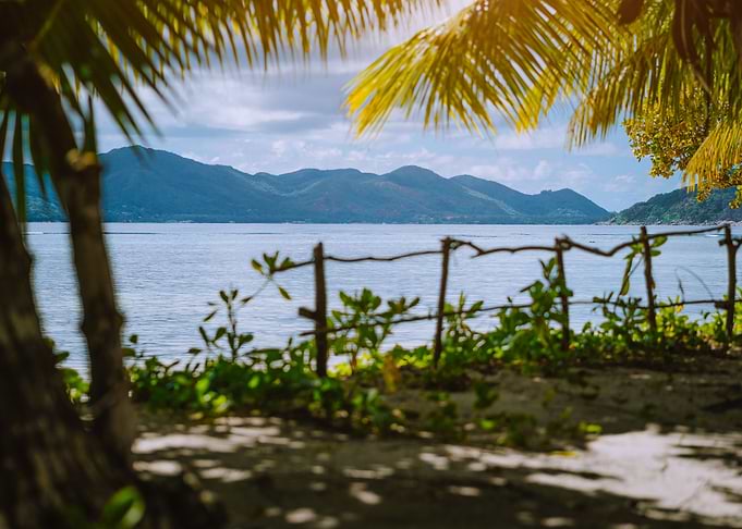 Exotic Tropical Paradise N