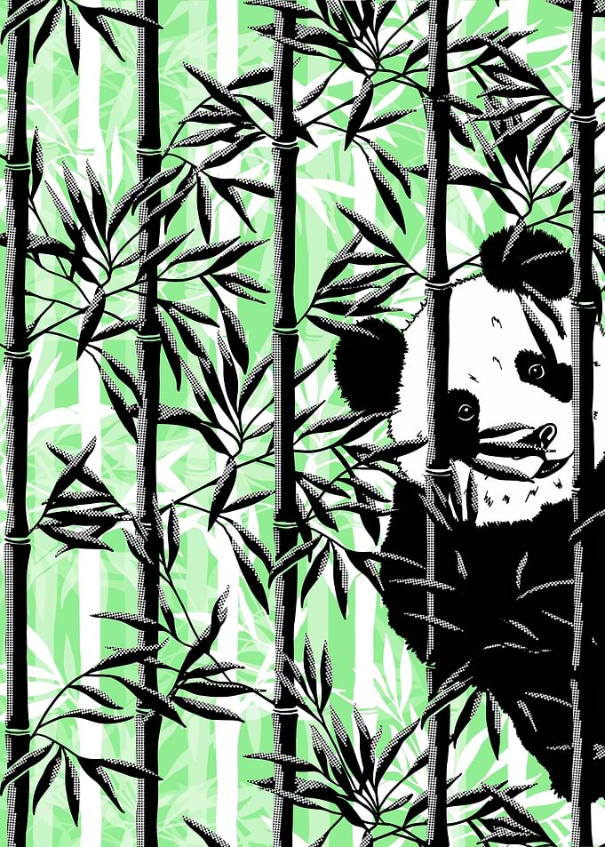 Bao Bao