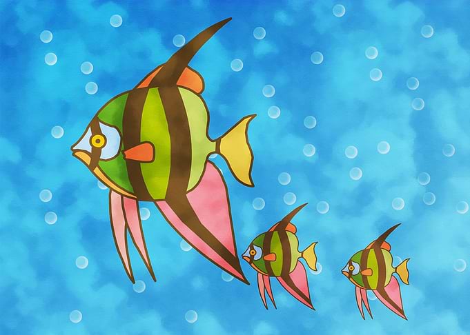 Angel Fish Family