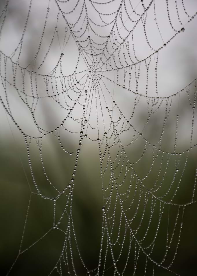 cold morning