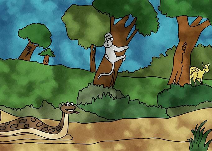 Forest