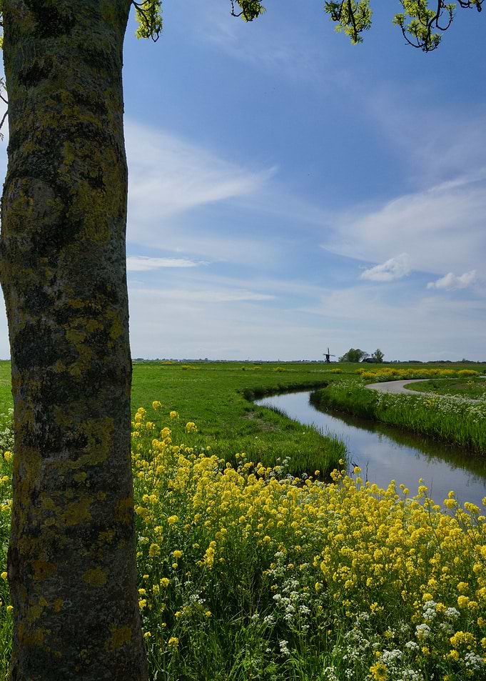 Oudega