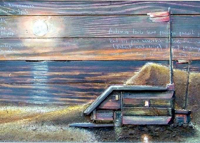 wooden beach