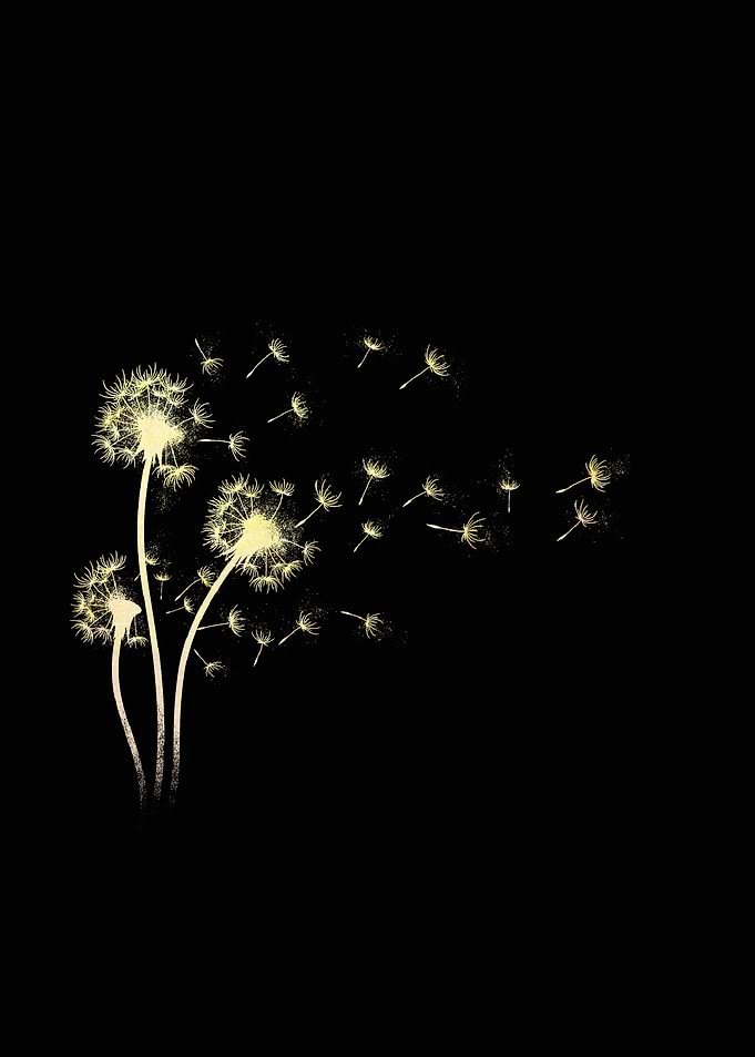 Dandelion Flower