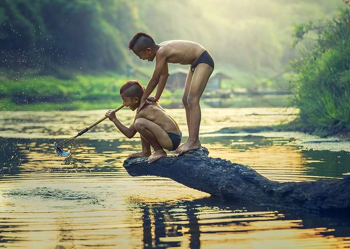 children looking for fish