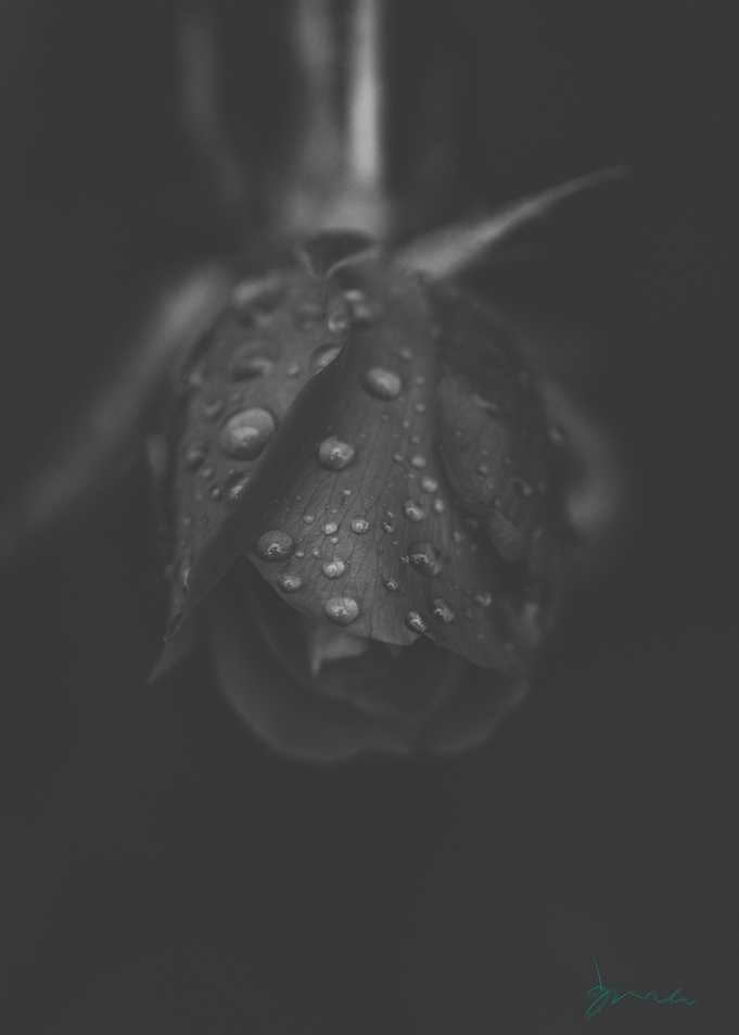 mysterious
