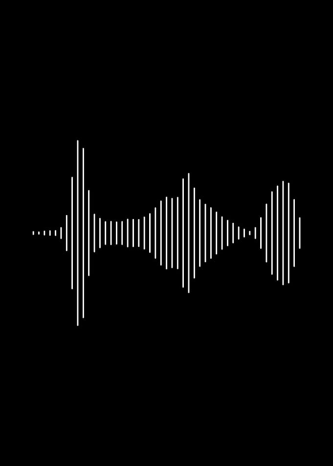 Audio wave Black White