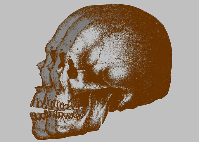 Skull3