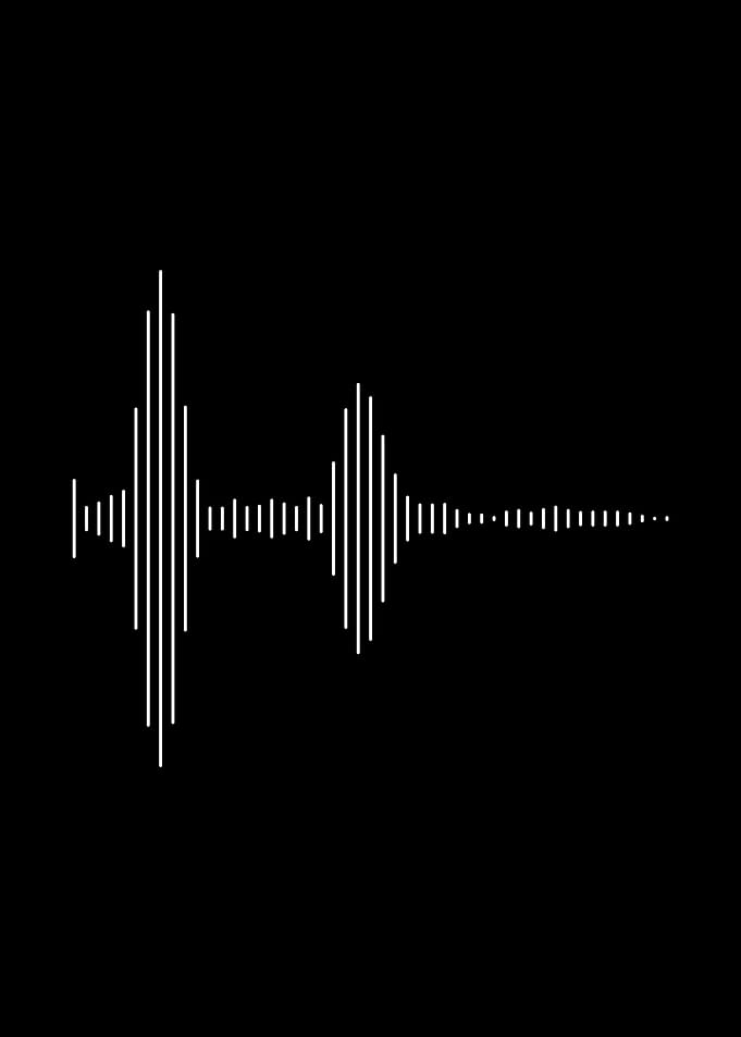 Audio wave Black White