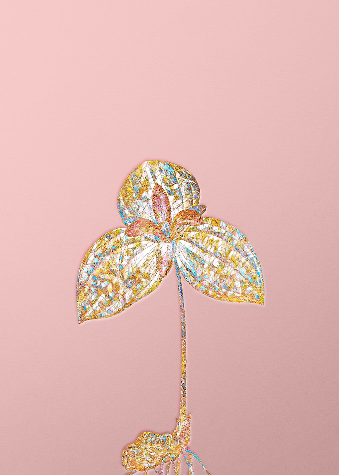 Pink Rainbow Mosaic Flower