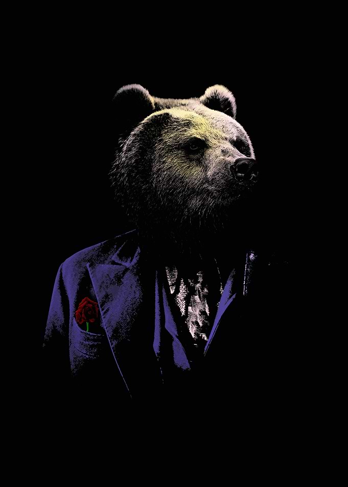 Mr Bear