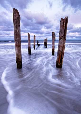 Wooden poles on the beach
