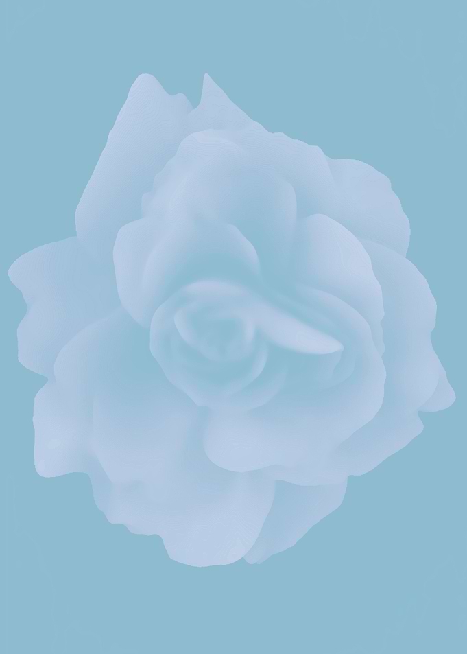 Purple rose