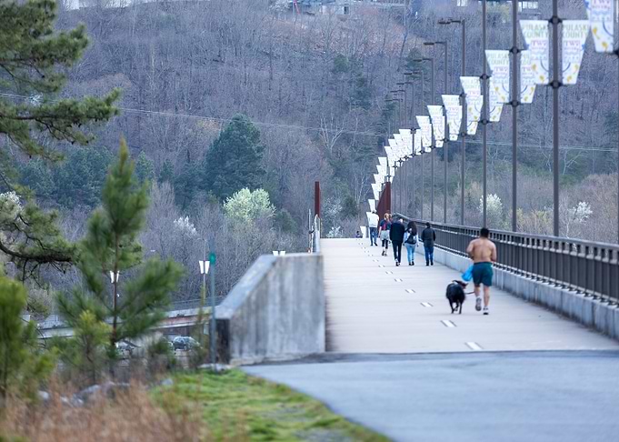 Two Rivers Park Bridge 4