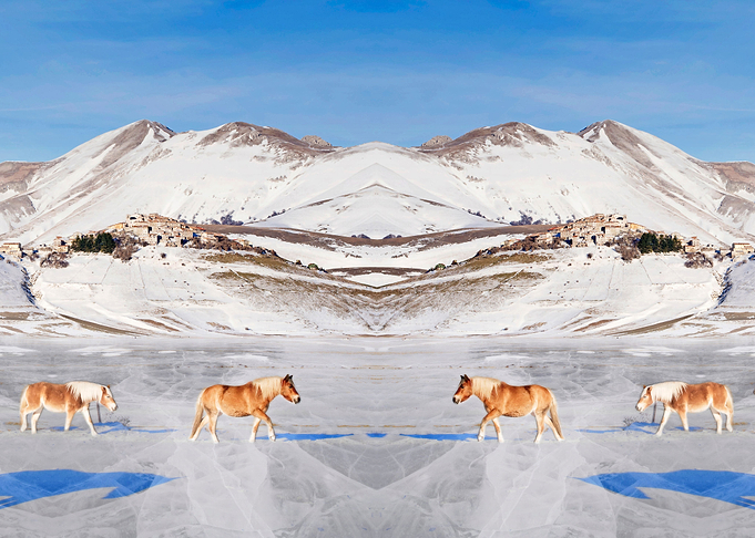 Ponies in craken lake