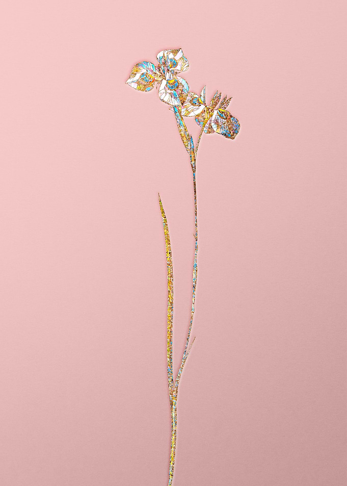 Pink Rainbow Mosaic Flower