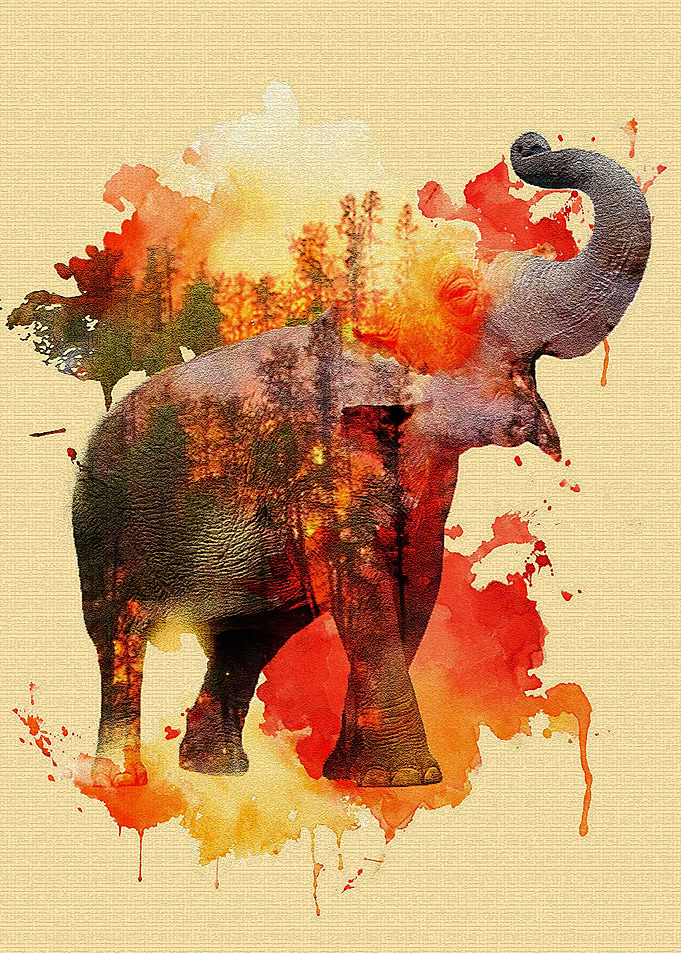 save forest save animal
