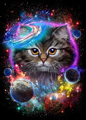 Cat in Galaxy Space Cosmos