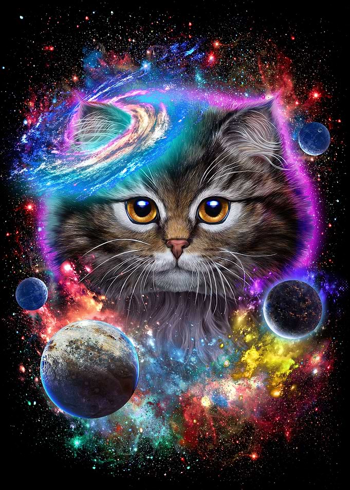 Cat in Galaxy Space Cosmos