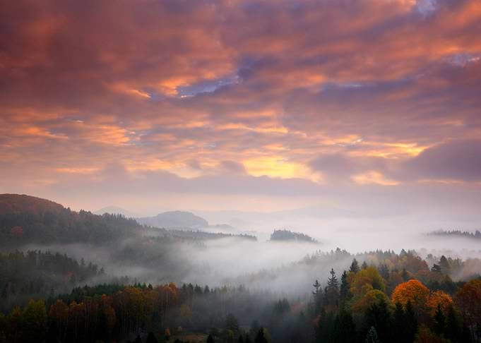 Yellow Woodland View Valle