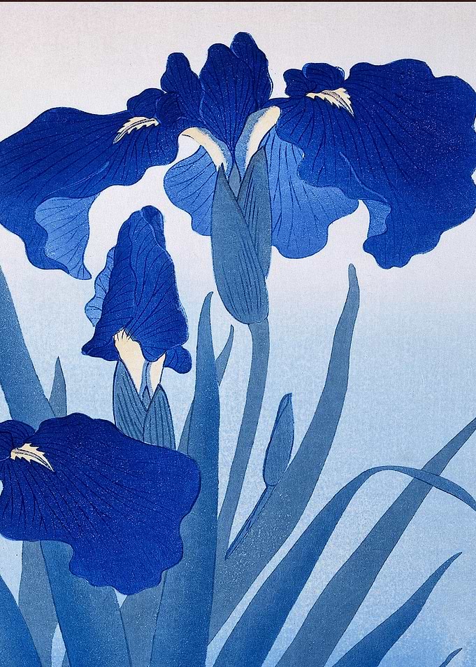 Iris Flower Traditional
