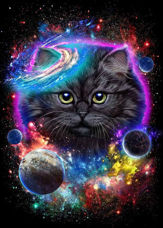 Cat in Galaxy Space Cosmos