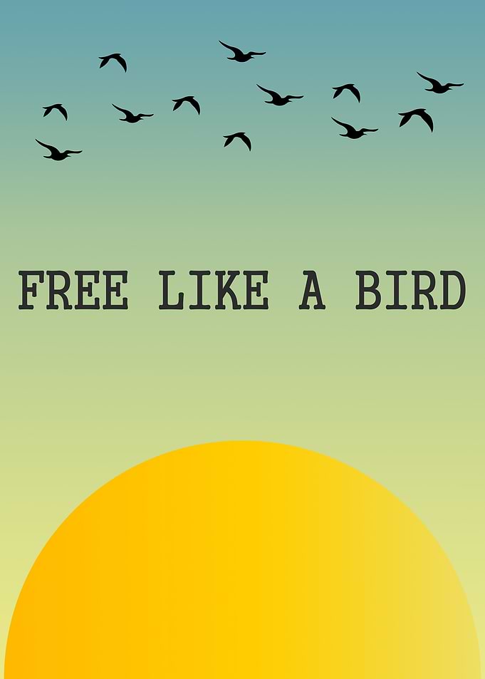 Free like a Bird