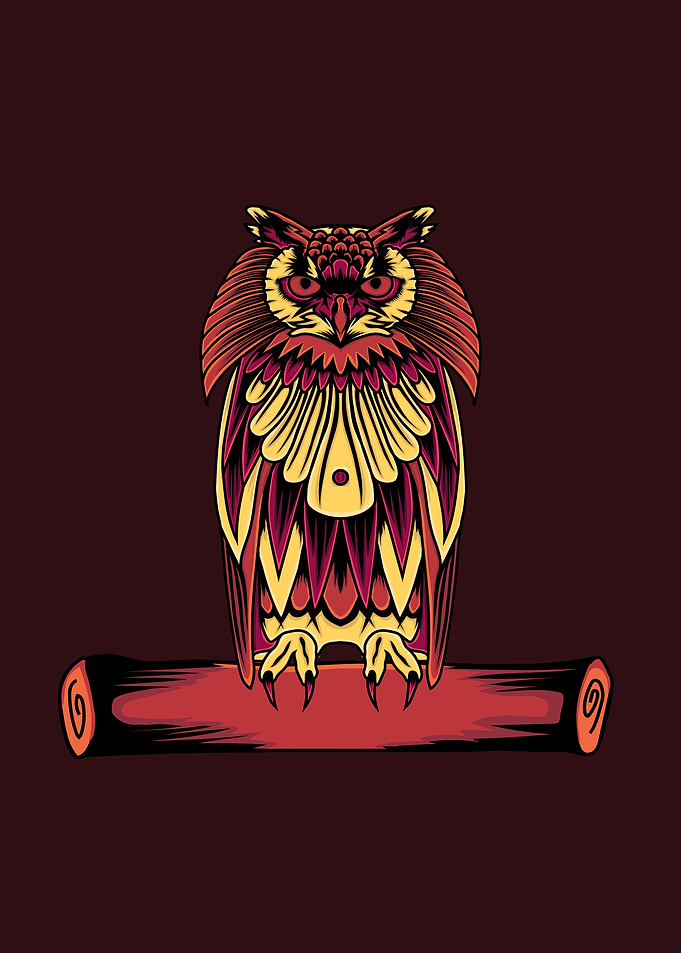 Owl Illustration