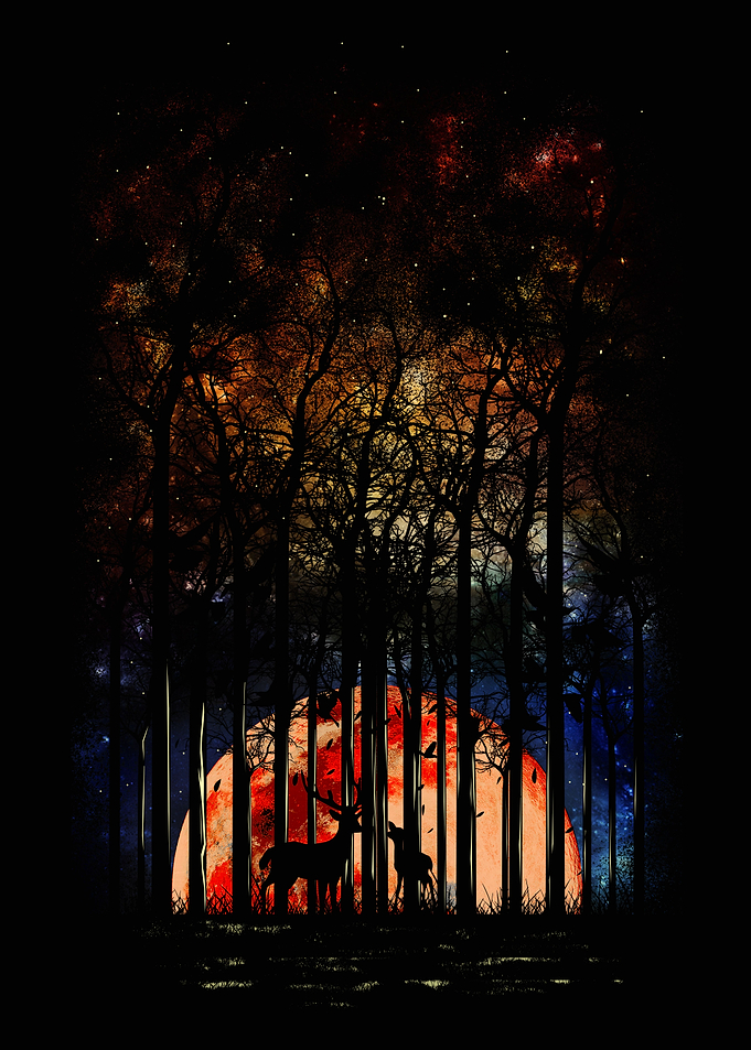 Shadow in the night