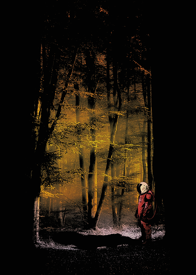alone in forest