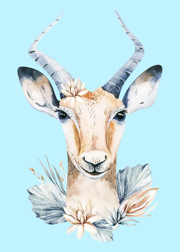 Cute antelope